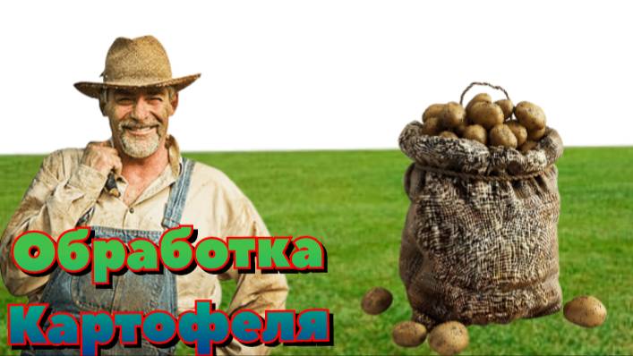 Обработка картофеля 🥔 перед посадкой смотреть онлайн