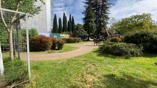 Где выпить минеральной воды в Сочи // пешеходная зона смотреть онлайн