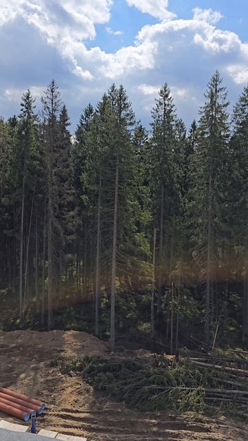 Допплата за вид? смотреть онлайн