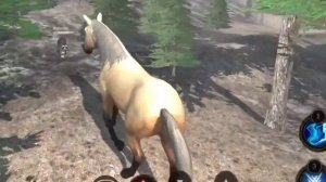 самая реалистичноя игра про лошадей