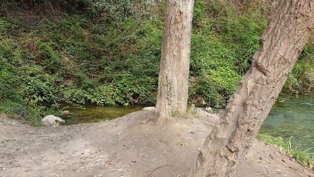 Озеро горное. Прогулка для настроения. Купание в конце