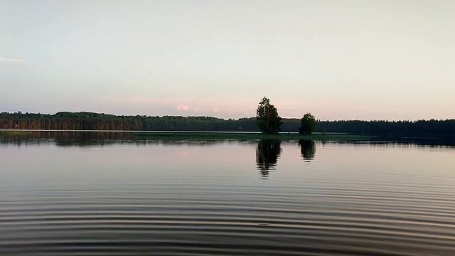 Открыла купальный сезон/ Лесное озеро смотреть онлайн