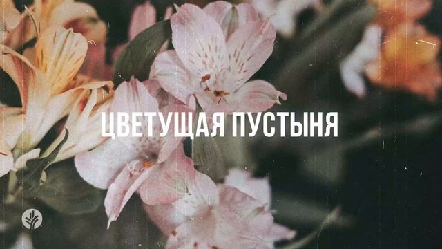 ЦВЕТУЩАЯ ПУСТЫНЯ | Ежедневное христианское чтение | 9