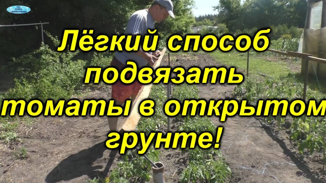🌱 Проще некуда! Как подвязать низкорослые томаты 🍅 без лишних хлопот смотреть онлайн