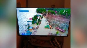 Телевизор Haier 43 Smart TV S4