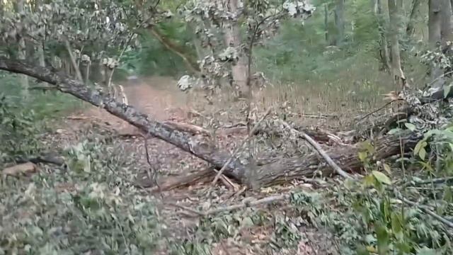 Проїхав 100 км. на велосипеді, щоб відвідати одне з найз?