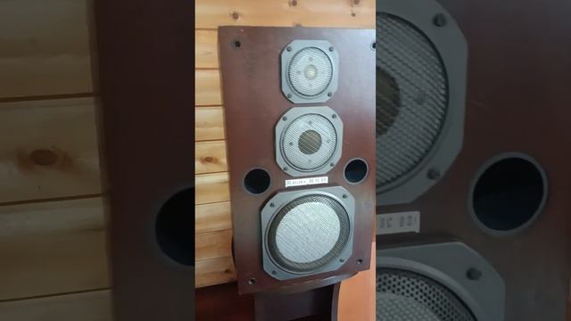 Акустическая система Эстония 35АС-021 смотреть онлайн