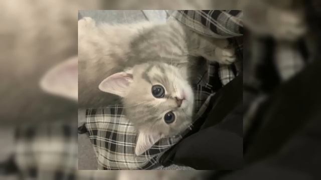 🎧зимний плейлист крутых песен🎧 (speed Up)