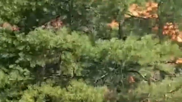 Немного о нашей нелёгкой работе смотреть онлайн