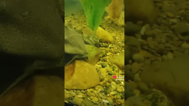 Погуляла.😊