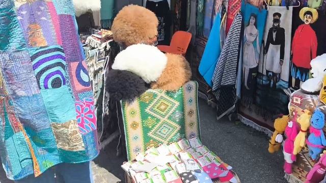 Грузия. Кахетия. Алазанская долина. Монастырь Бодбе. Город любви Сигнахи. Третий день путешествия. смотреть онлайн