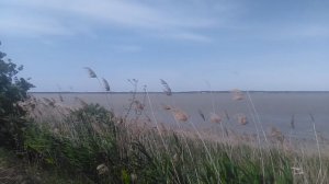 Природа на берегу лиманов