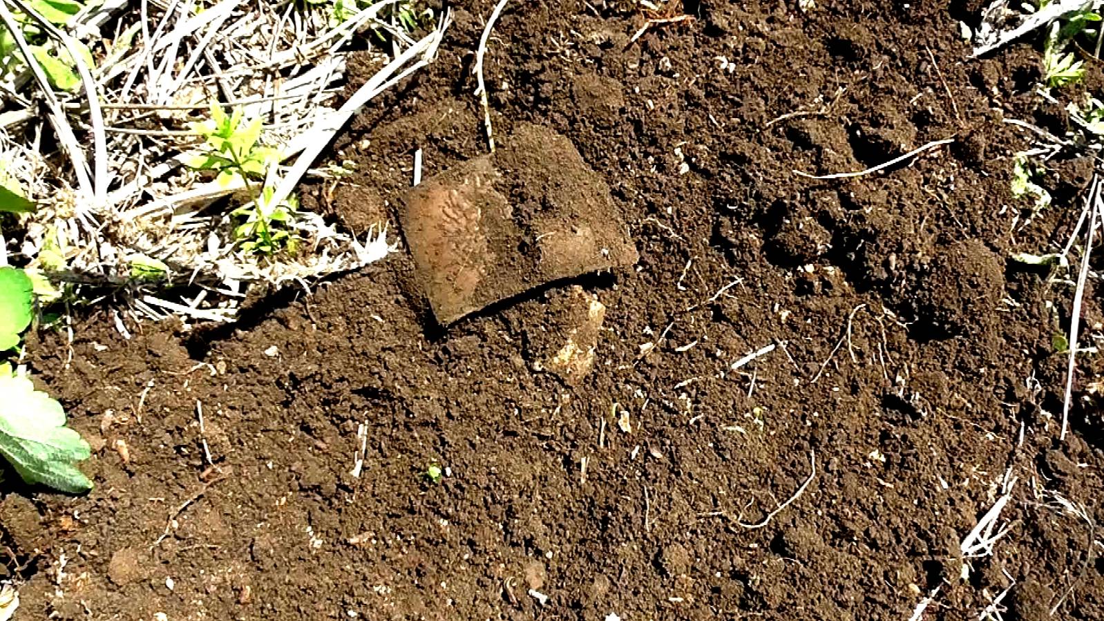 Приятная неожиданность на копе. смотреть онлайн