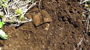 Приятная неожиданность на копе.