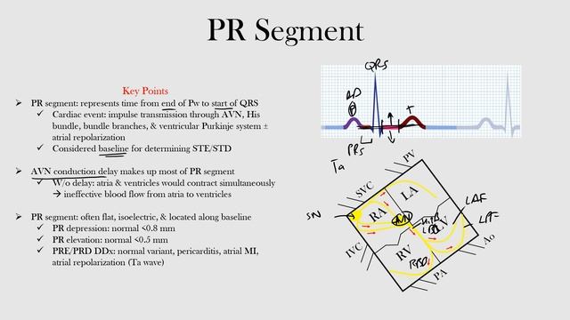 16.PR Segment