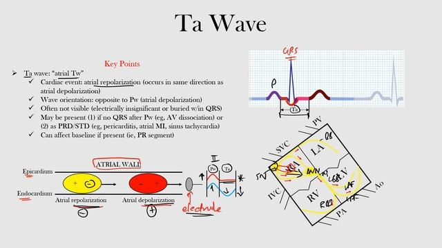 15.Ta Wave смотреть онлайн