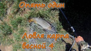 Опять один Ловля карпа весной 4 2025