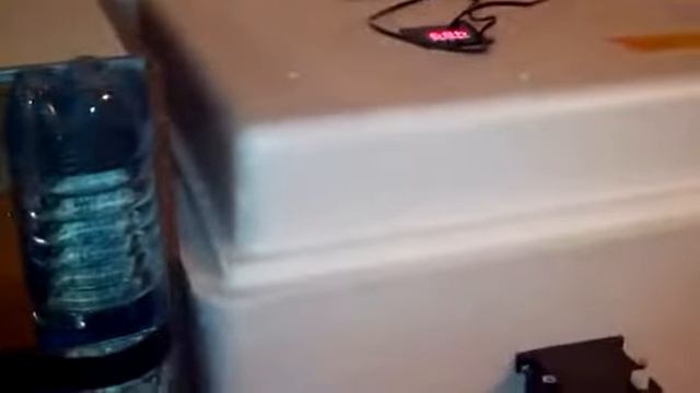 Вывод цыплят в инкубаторе БЛИЦ 120 цифровой смотреть онлайн