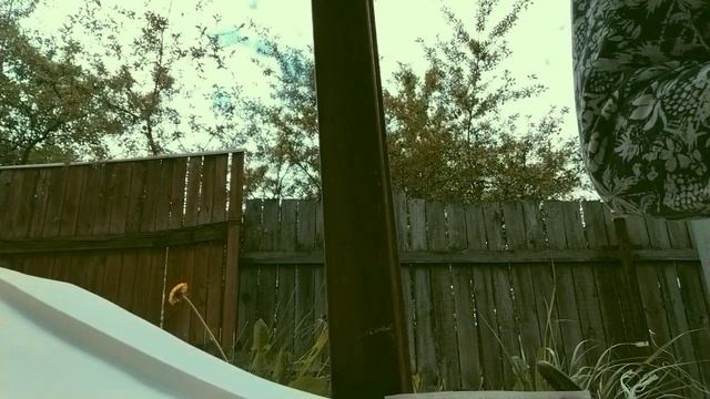 Рисую❤️🩷🪷🌸🐴🖼️🎨🖌️ смотреть онлайн