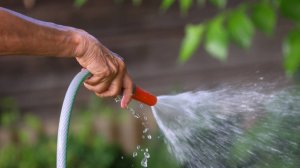 Прослужит несколько сезонов: какой садовый шланг выбрать для дачи