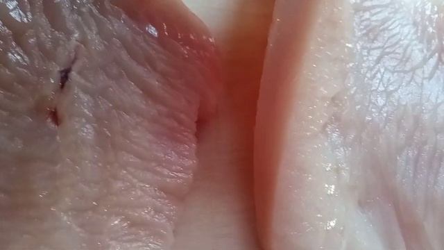 ОТБИВНЫЕ из мяса БРОЙЛЛЕРНЫХ ИНДЮКОВ. УБРАЛИ ПОСЛЕДНИ