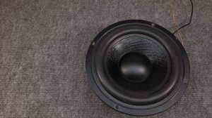 Низкочастотный динамик.