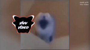 Zivert - Beverly hills speed up