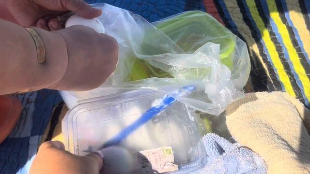 АЗЕРБАЙДЖАН.ОСЕНЬ.ОТДЫХ НА ПЛЯЖЕ#azerbaycan#baku#bakuazerbaijan#бак?