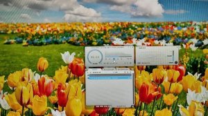 27» Монитор DEXP DF27N1T звук динамиков