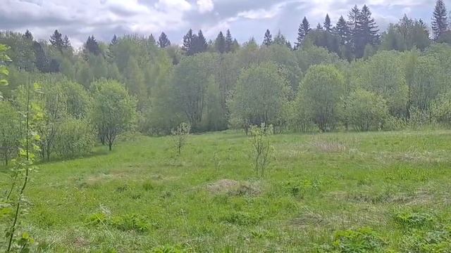 ЗУ в д. Мостки :292 смотреть онлайн