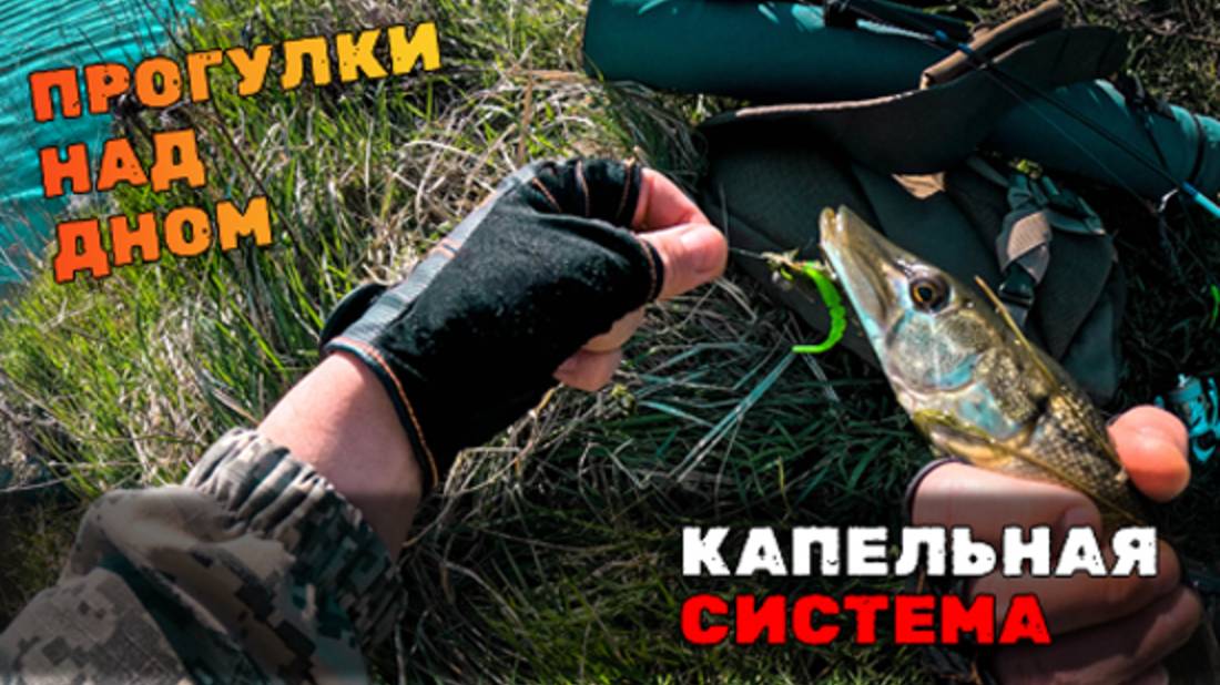 Когда молчит чебурашка, на сцену выходит ОН