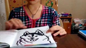 Обзор на мои рисунки по клеточкам.