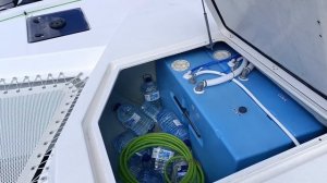 [6] Атлантика. Жизнь в океане