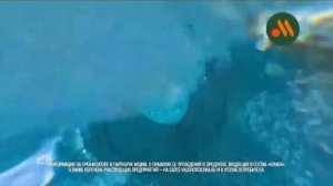 Реклама Вкусно - и точка #13