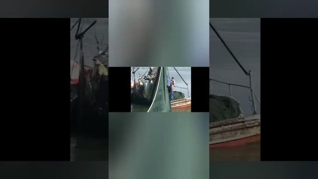 Holy Land Явление Воскресшего Господа в Галилее на море Ти смотреть онлайн