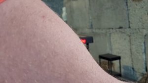 Reximex Force 2.  cal 22. Опять курковый турк но в 5.5