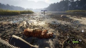 theHunter Call of the Wild - ТИГРЫ И БУЙВОЛЫ - Новый заказник НЕПАЛ