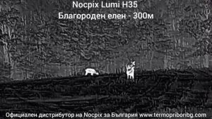 Nocpix Lumi H35 наблюдение благороден елен дистанция 300м улт?