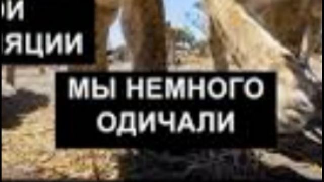 МЕМАСИКИ ПРО НАТАШУ