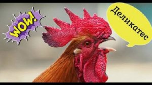 КУРИНЫЕ ГРЕБЕШКИ СТАРИННЫЙ РЕЦЕПТ ДЕЛИКАТЕС ПРОСТО ТАЕТ ВО РТУ #рецепт #петух #деликатес #курятина