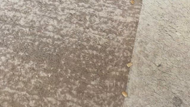 Обзор на мою коллекцию DVD-Дисков С Советскими мультфил