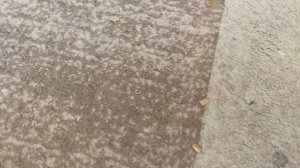 Обзор на мою коллекцию DVD-Дисков С Советскими мультфил