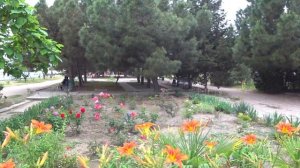 Солнечногорское 2023 / Людей нет / Сезон под вопросом