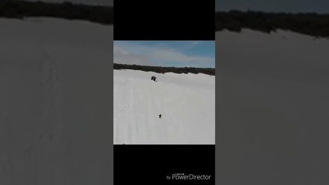 Медвежонок альпинист смотреть онлайн