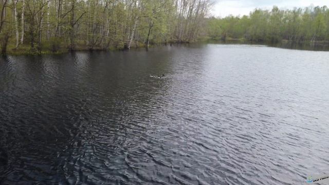 "ОЗЕРО" пгт Смирных, северный въезд 28.05.2021г. смотреть онлайн