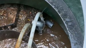 Итал био 5 Лонг пр. Обслуживание