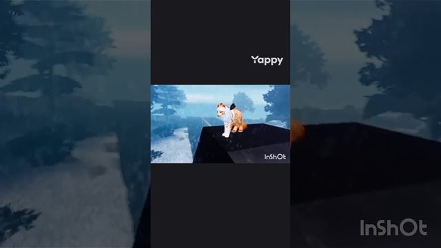 1000007048.mp4 смотреть онлайн