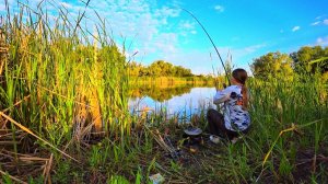 ВЫКОСИЛА ЗАРОСЛИ И ЗАКОРМИЛА С НОЧИ! РЫБАЛКА НА УДОЧКУ