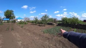 В гостях у матушки на хуторе..