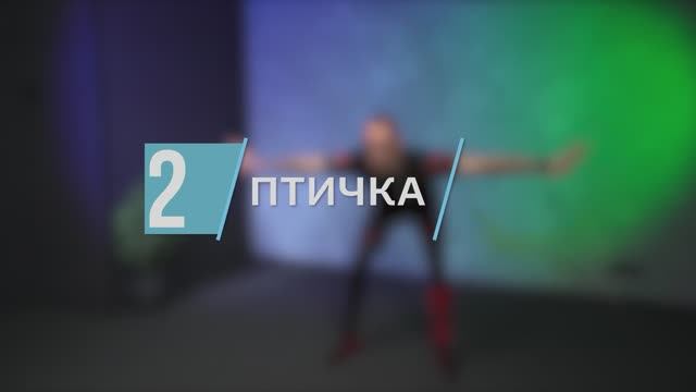 Птичка / цикл «Здоровая спина»